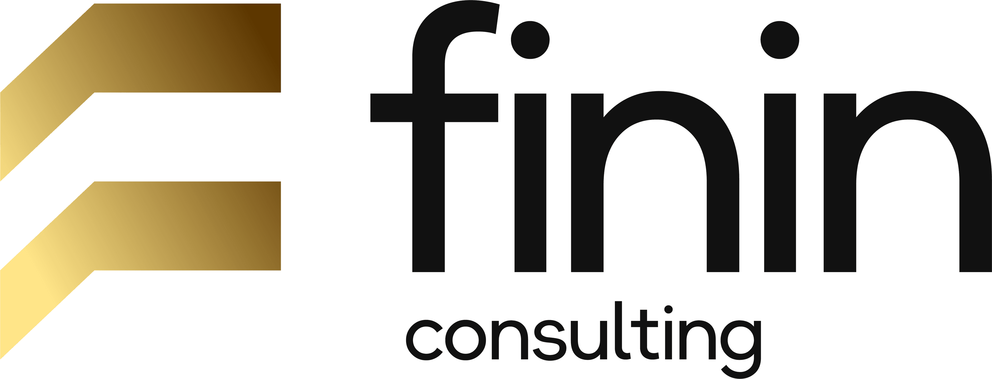 FININ Consulting